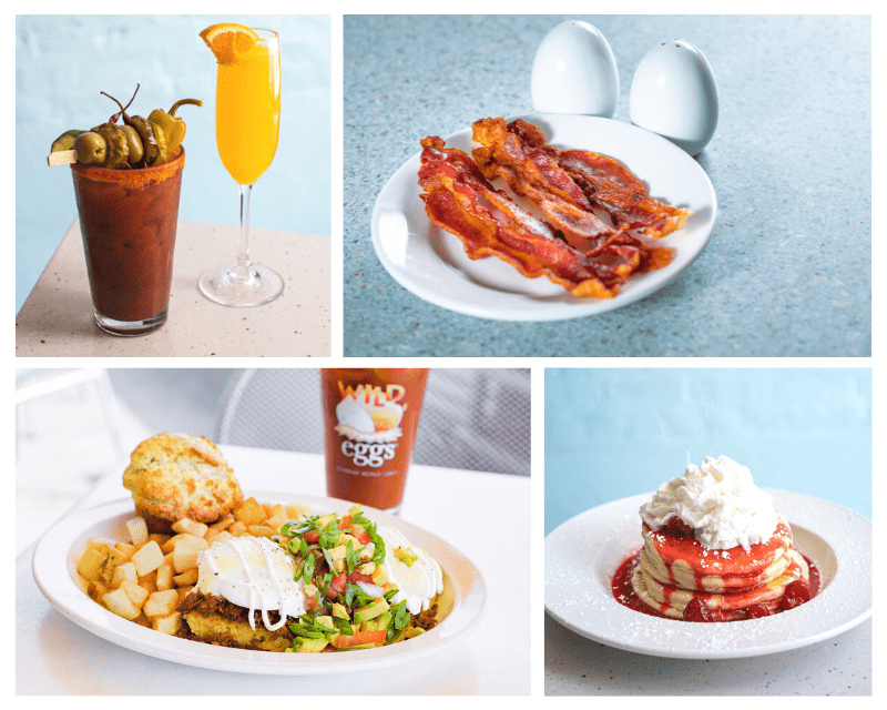Wild Eggs Rewards Program
