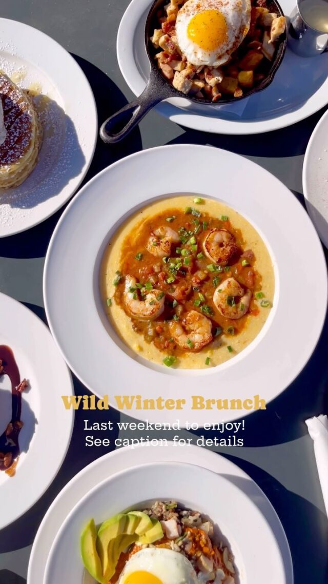 Last few days to enjoy these yummy winter flavors! Our Wild Winter Brunch includes the Cordon Bleu Skillet, California Grains Bowl, @kodiakcakes Banana Protein Pancakes, Shrimp Etouffee and Grits, Wild Chocolate Espresso Martini, Bourbon Latte, Kentucky Mimosa. Menu is available until Feb 27th. Please see www.wildeggs.com/limited-time-menu/ for location specific menu offerings.