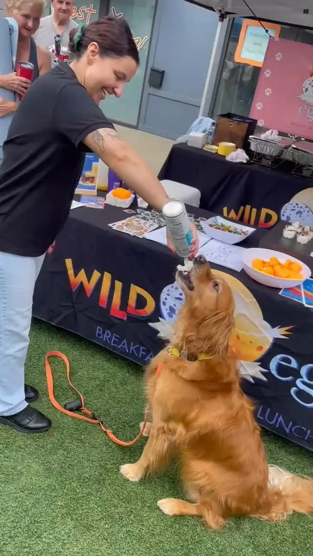 Pup cups for the win 🐕 Thank you @shopwestportvillage for an incredible Puppy Palooza!