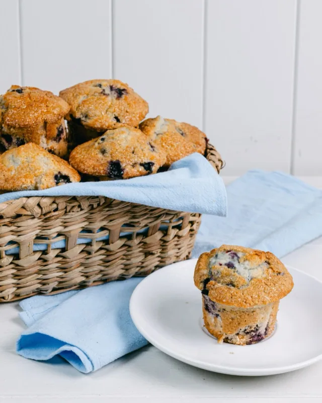 School’s almost back in session! 📚
Say thanks to summer camp counselors or treat your new teachers with a dozen of our fresh-baked blueberry muffins, everything muffins, or buttery biscuits. Easy to order, even easier to enjoy.

Order now at wildeggs.com/catering 📲